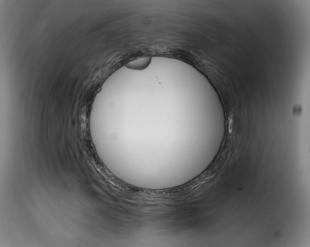 X0000116011011200911191232