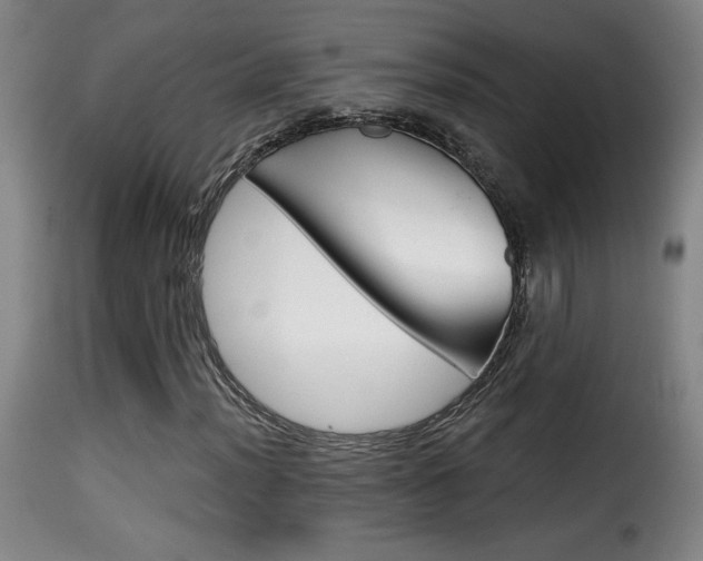 X0000116011012200911191232