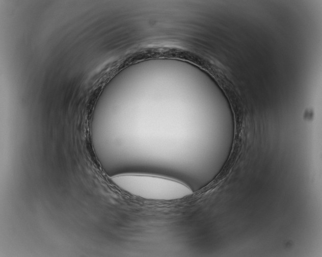 X0000116011014200911191232