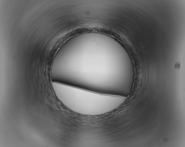 X0000116011016200911191232