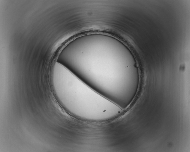 X0000116011018200911191232