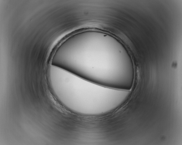 X0000116011020200911191232