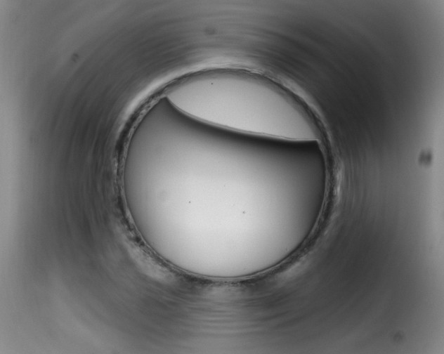 X0000116011021200911191232