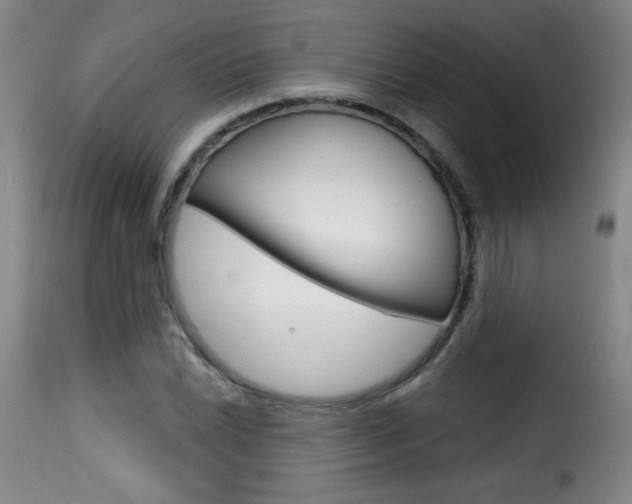 X0000116011022200911191232