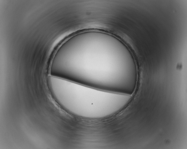 X0000116011024200911191232