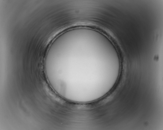X0000116011025200911191232