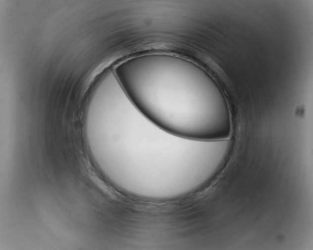 X0000116011026200911191232