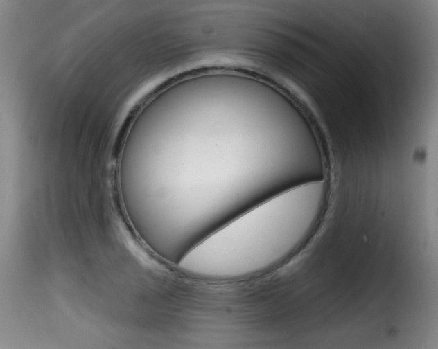 X0000116011029200911191232