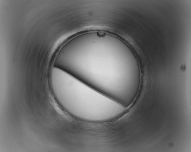 X0000116011030200911191232