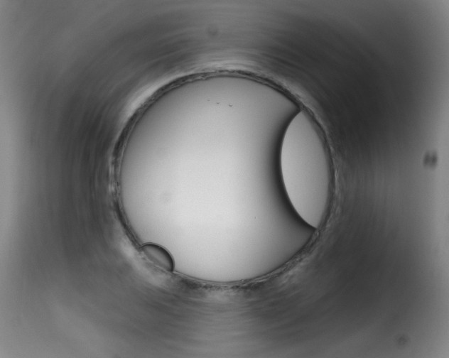 X0000116011031200911191232