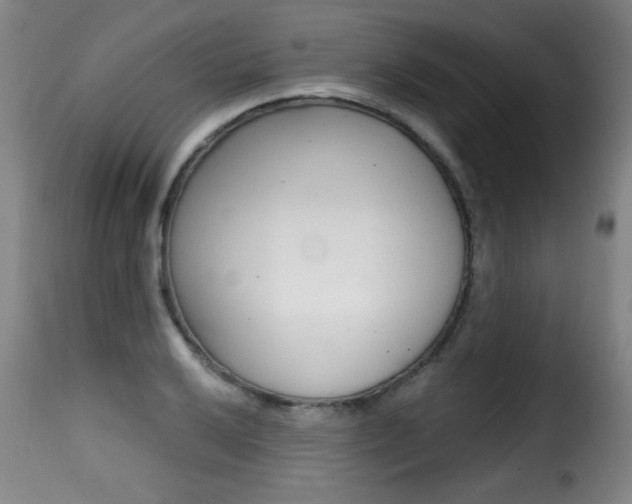 X0000116011032200911191232