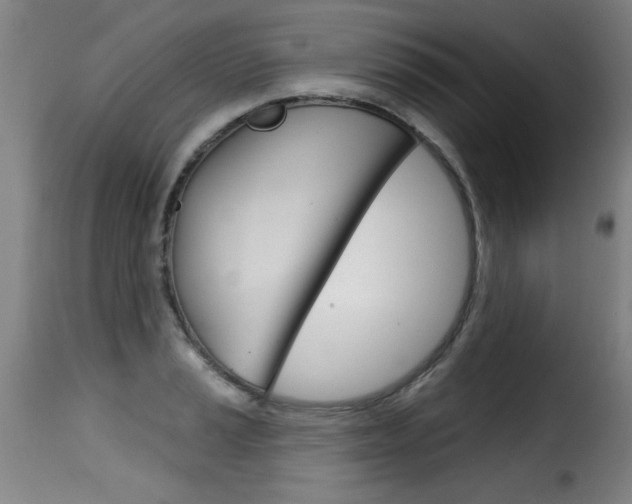 X0000116011037200911191233