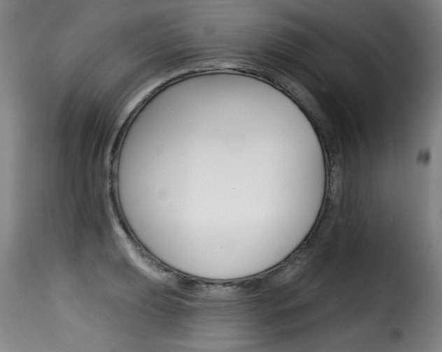 X0000116011039200911191233