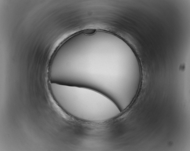 X0000116011040200911191233