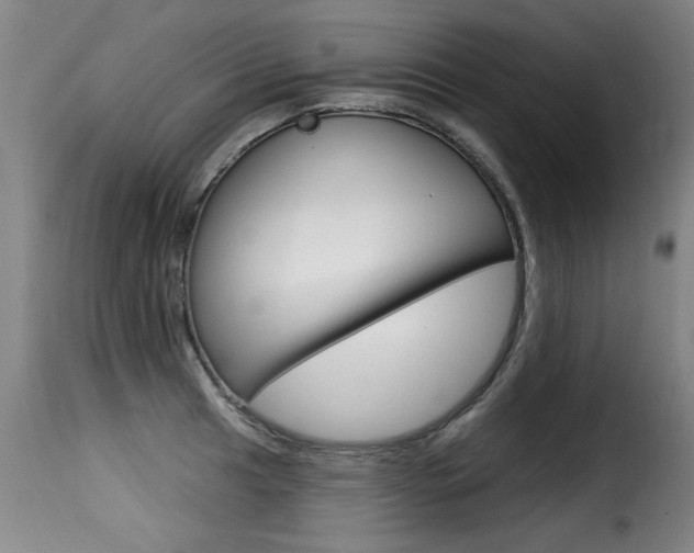 X0000116011041200911191233