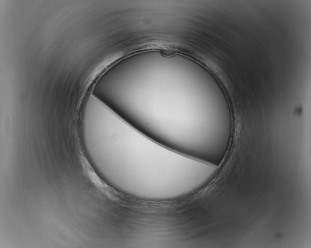 X0000116011042200911191233