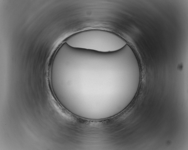 X0000116011043200911191233