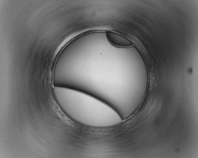 X0000116011044200911191233