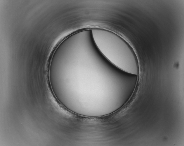 X0000116011045200911191233
