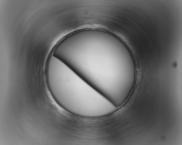 X0000116011046200911191233