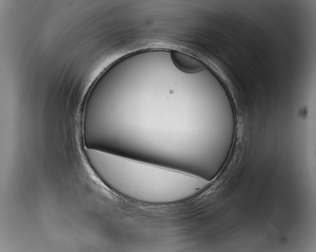X0000116011048200911191233