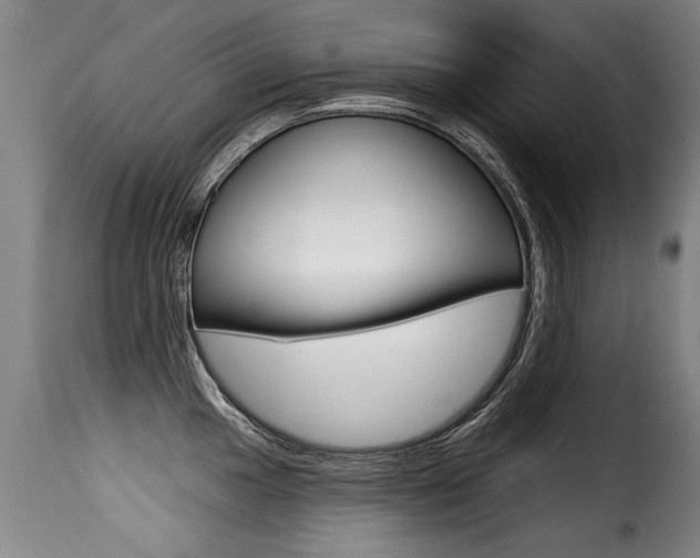 X0000116011049200911191233