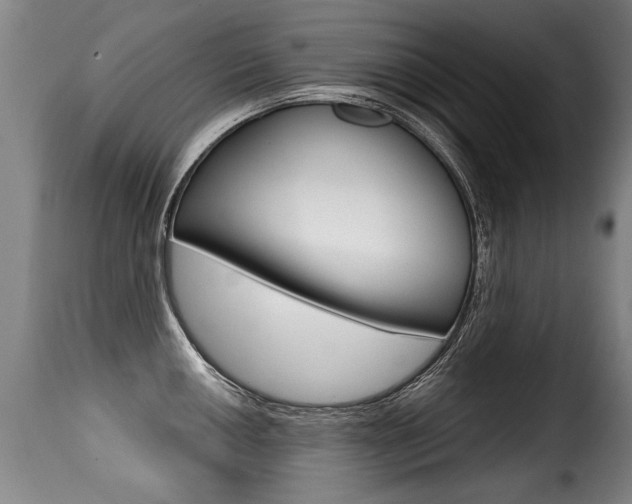 X0000116011050200911191233