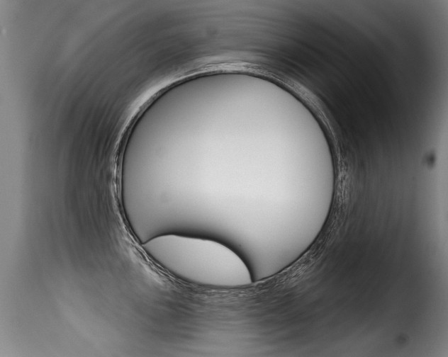 X0000116011051200911191233