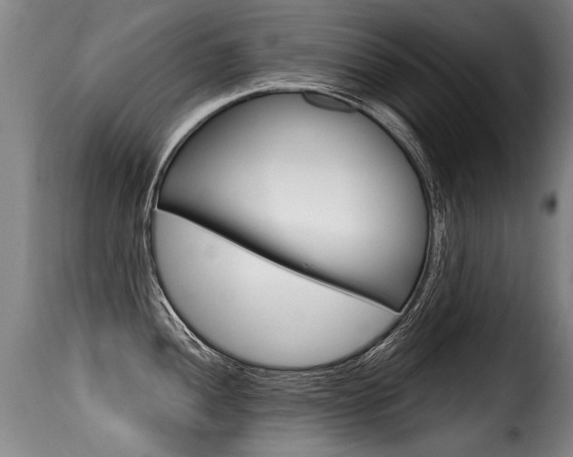 X0000116011052200911191233