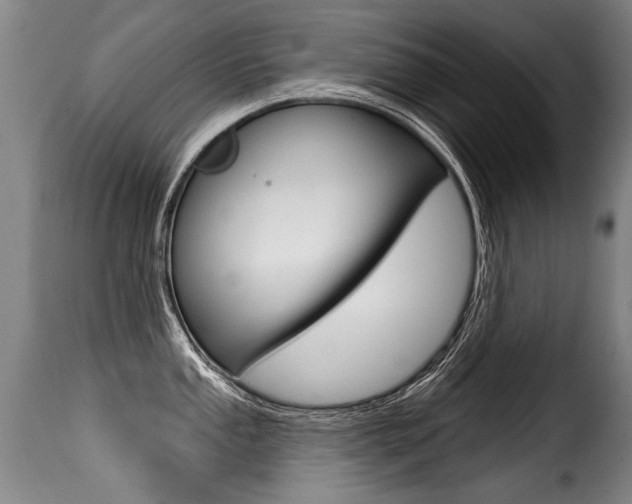X0000116011053200911191233