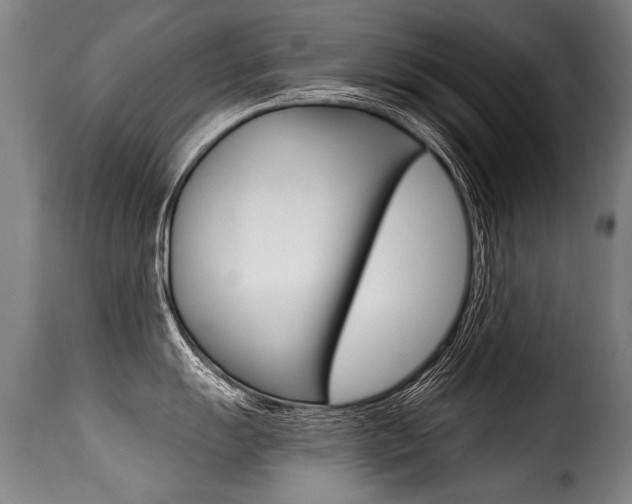 X0000116011055200911191233