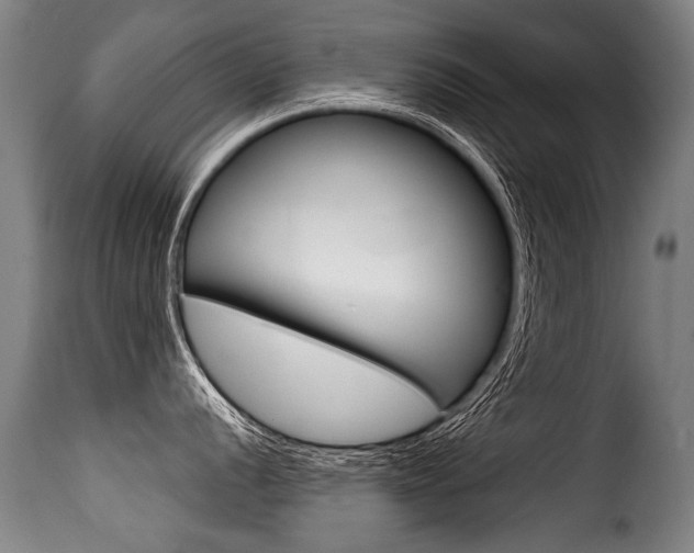 X0000116011056200911191233