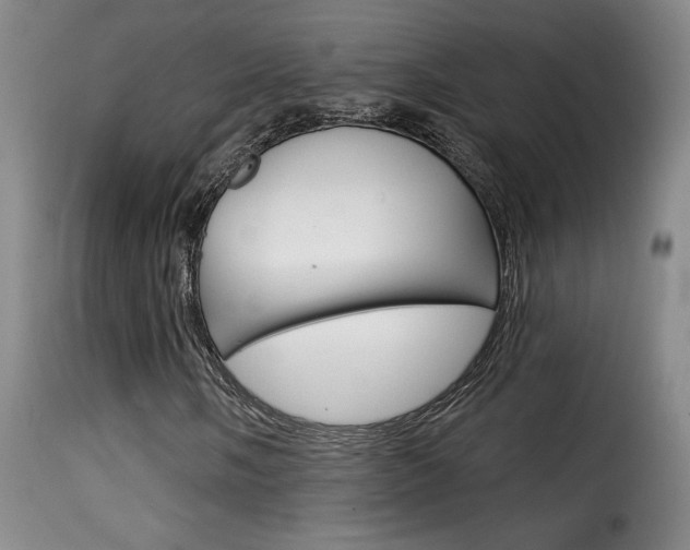 X0000116011058200911191232