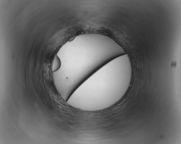 X0000116011059200911191232