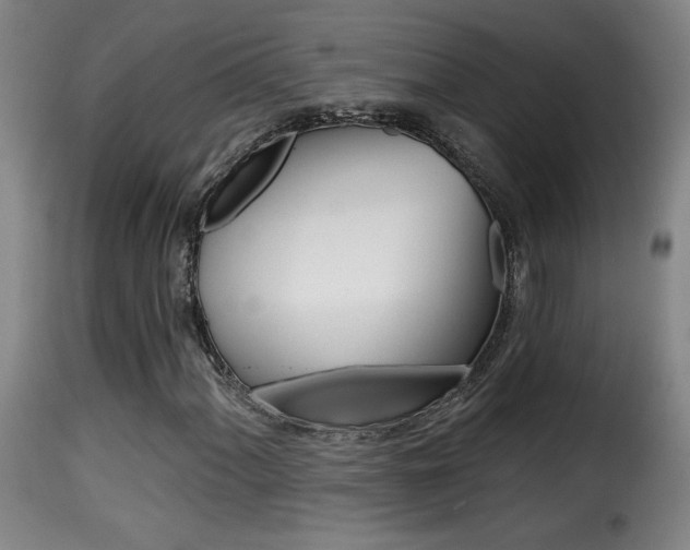 X0000116011060200911191232