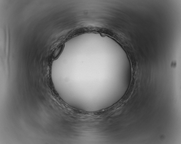 X0000116011061200911191232