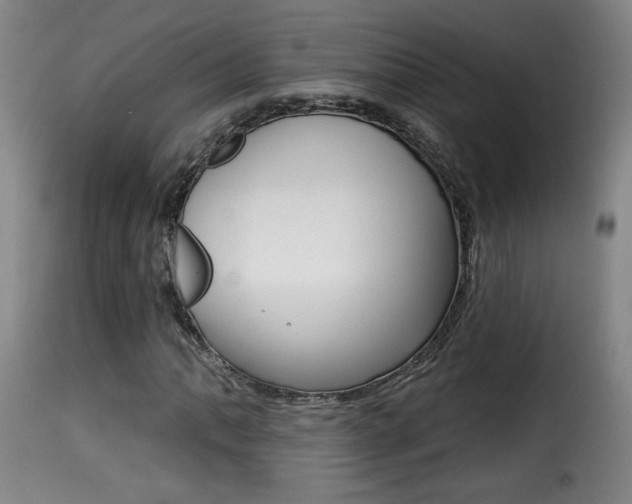 X0000116011062200911191232