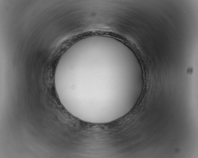 X0000116011063200911191232