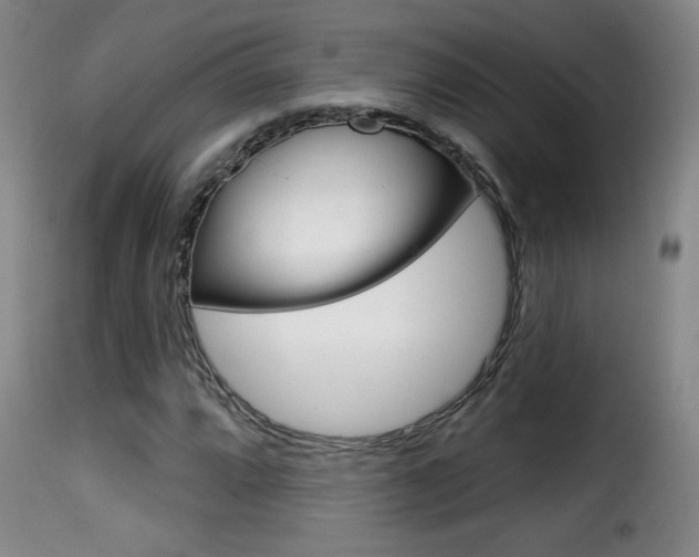 X0000116011064200911191232