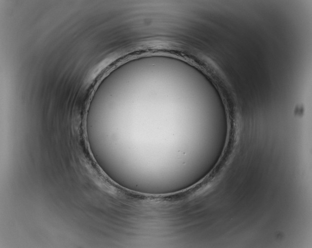X0000116011065200911191232