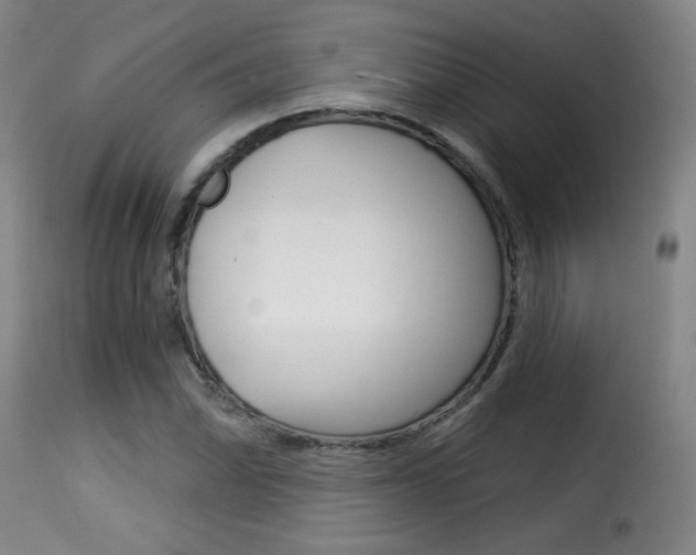 X0000116011070200911191232