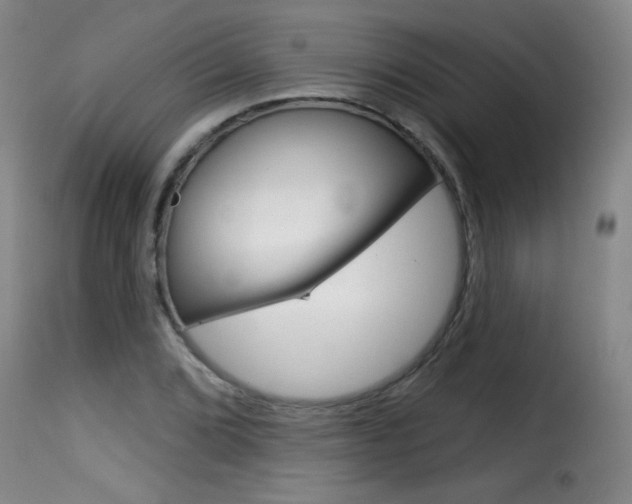 X0000116011072200911191232