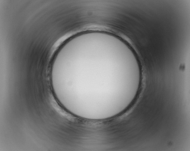 X0000116011074200911191232