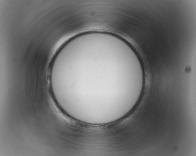 X0000116011078200911191232