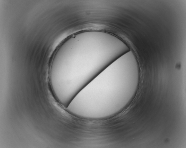 X0000116011083200911191232