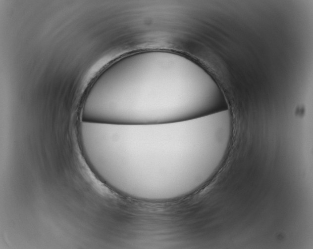 X0000116011086200911191232