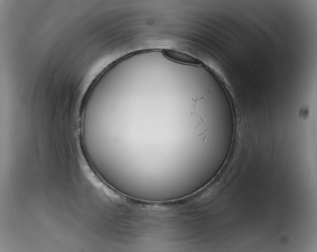 X0000116011088200911191232
