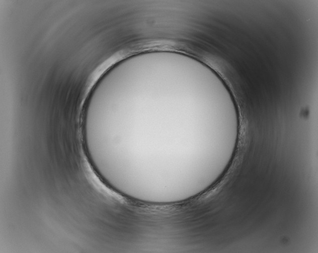 X0000116011090200911191232