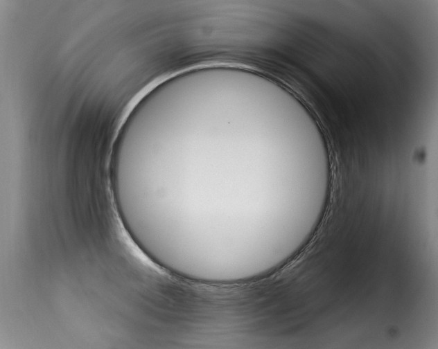 X0000116011092200911191232