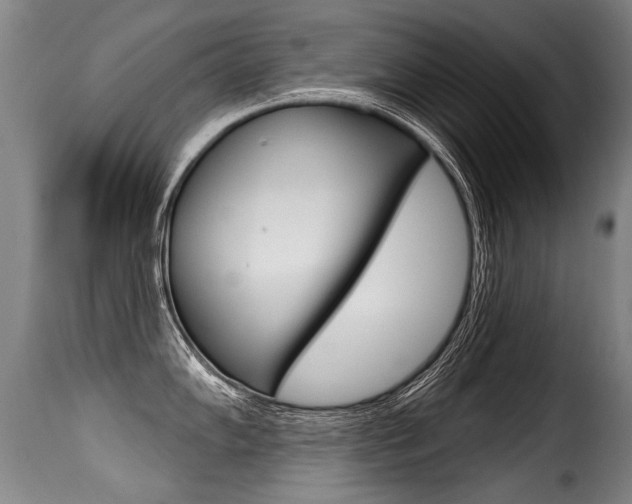 X0000116011102200911191232